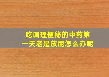 吃调理便秘的中药第一天老是放屁怎么办呢