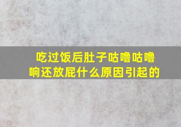 吃过饭后肚子咕噜咕噜响还放屁什么原因引起的