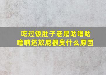 吃过饭肚子老是咕噜咕噜响还放屁很臭什么原因