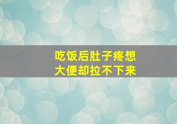 吃饭后肚子疼想大便却拉不下来