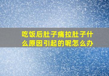 吃饭后肚子痛拉肚子什么原因引起的呢怎么办