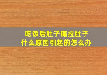 吃饭后肚子痛拉肚子什么原因引起的怎么办