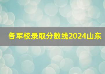 各军校录取分数线2024山东