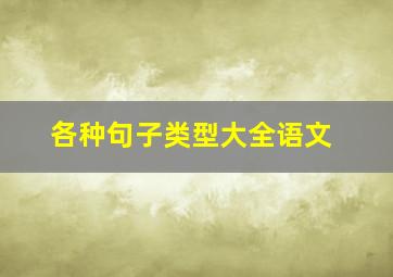 各种句子类型大全语文