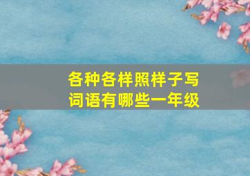 各种各样照样子写词语有哪些一年级