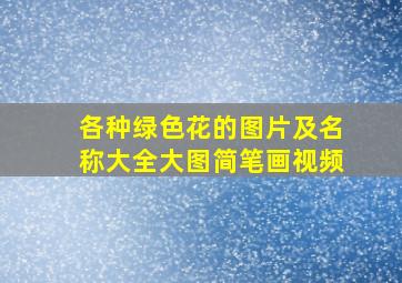 各种绿色花的图片及名称大全大图简笔画视频