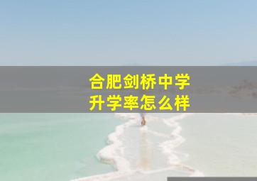 合肥剑桥中学升学率怎么样