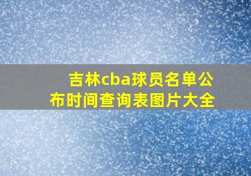 吉林cba球员名单公布时间查询表图片大全