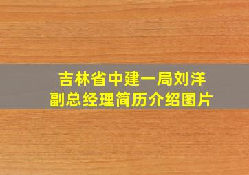 吉林省中建一局刘洋副总经理简历介绍图片