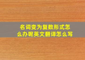 名词变为复数形式怎么办呢英文翻译怎么写