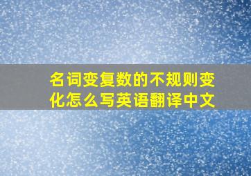 名词变复数的不规则变化怎么写英语翻译中文