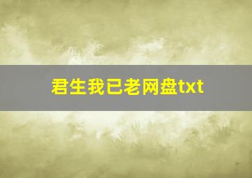 君生我已老网盘txt