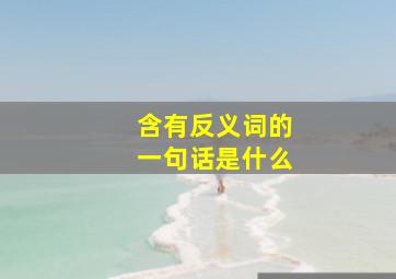 含有反义词的一句话是什么