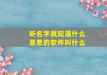 听名字就知道什么意思的软件叫什么