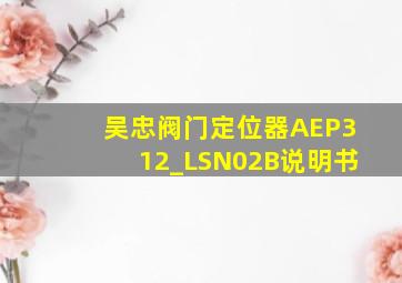 吴忠阀门定位器AEP312_LSN02B说明书