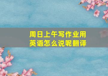 周日上午写作业用英语怎么说呢翻译