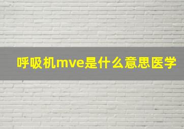 呼吸机mve是什么意思医学