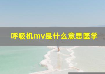 呼吸机mv是什么意思医学