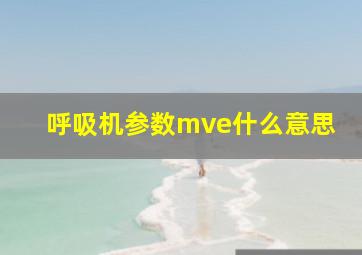 呼吸机参数mve什么意思