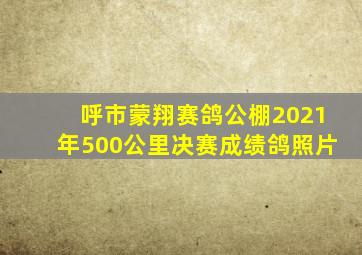 呼市蒙翔赛鸽公棚2021年500公里决赛成绩鸽照片