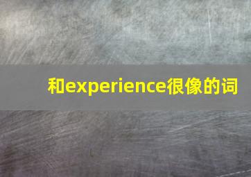 和experience很像的词