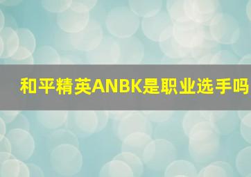 和平精英ANBK是职业选手吗