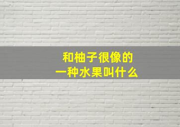 和柚子很像的一种水果叫什么