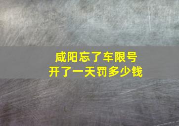 咸阳忘了车限号开了一天罚多少钱