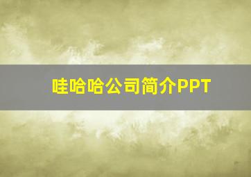 哇哈哈公司简介PPT