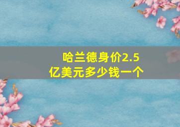 哈兰德身价2.5亿美元多少钱一个