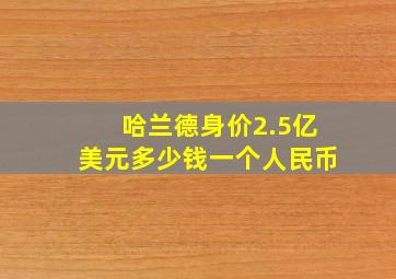 哈兰德身价2.5亿美元多少钱一个人民币