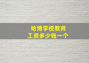 哈博学校教师工资多少钱一个