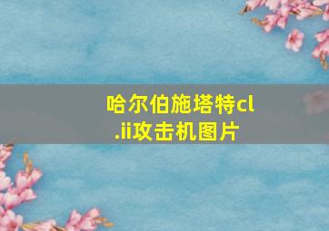 哈尔伯施塔特cl.ii攻击机图片