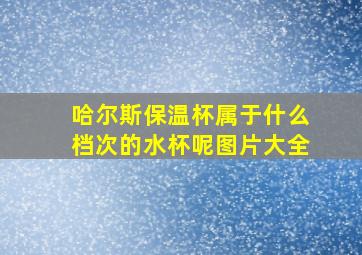 哈尔斯保温杯属于什么档次的水杯呢图片大全