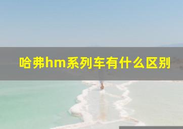 哈弗hm系列车有什么区别