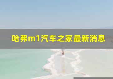 哈弗m1汽车之家最新消息