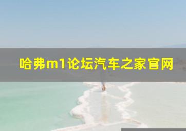 哈弗m1论坛汽车之家官网