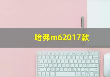 哈弗m62017款