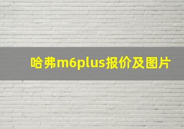 哈弗m6plus报价及图片