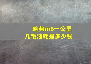 哈弗m6一公里几毛油耗是多少钱