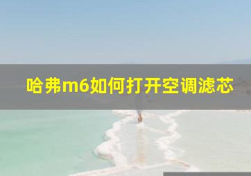 哈弗m6如何打开空调滤芯