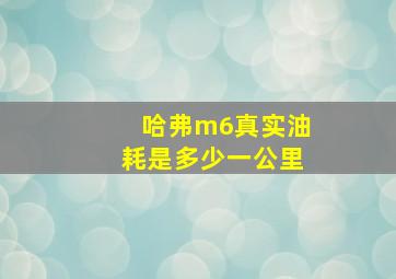 哈弗m6真实油耗是多少一公里