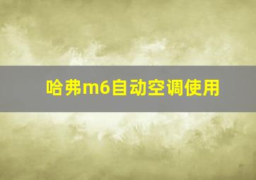 哈弗m6自动空调使用