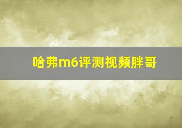 哈弗m6评测视频胖哥