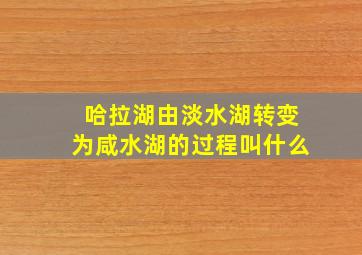 哈拉湖由淡水湖转变为咸水湖的过程叫什么