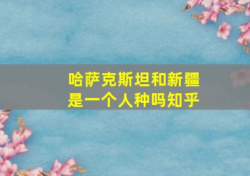 哈萨克斯坦和新疆是一个人种吗知乎