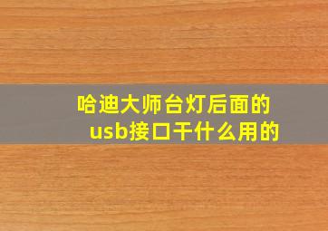 哈迪大师台灯后面的usb接口干什么用的