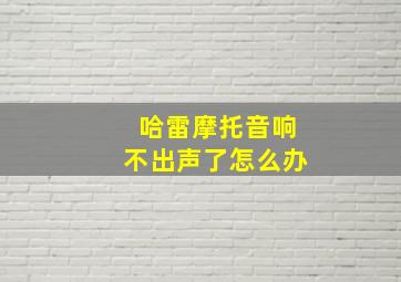 哈雷摩托音响不出声了怎么办