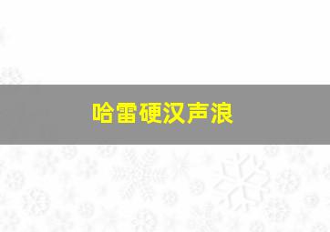 哈雷硬汉声浪