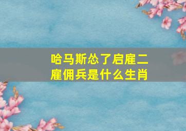 哈马斯怂了启雇二雇佣兵是什么生肖